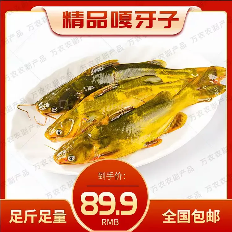 东北特产淡水嘎牙子鱼冷水鱼肉质鲜美现冻现发