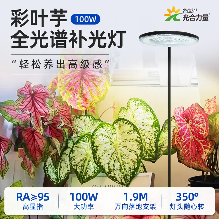 【奶油不吃鱼专属】100瓦阳台家用开花植物热植全光谱可调光LED