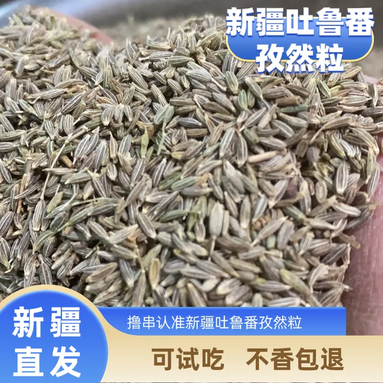 孜然香料新疆正宗孜然粉烧烤调味料孜然粒炸串撒料烤肉吐鲁番直邮