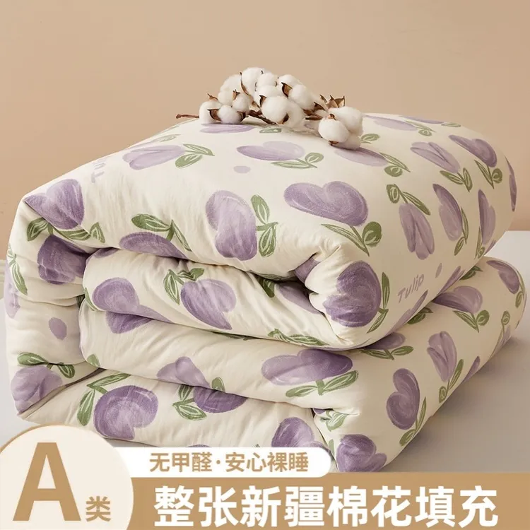 新疆棉花被芯棉被冬被子纯棉四季春秋被手工保暖加厚学生宿舍被褥