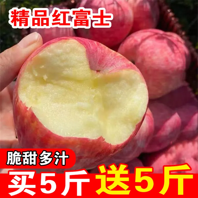 红富士苹果 坏果包赔 买5斤送5斤 脆甜多汁 多仓发货