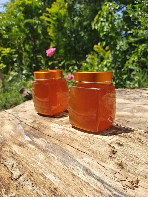 中蜂老巢蜜，一年取一次，木桶土养。蜂蜜