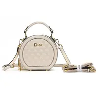 全新未使用2025新款气质高奢时尚洋气手提小圆饼包圆形苹果包