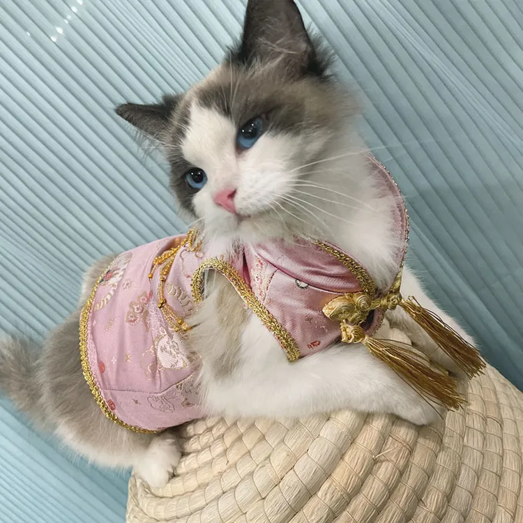 韩露原创猫咪唐装新中式重工布偶猫衣服宠物服饰洋气防掉毛外套