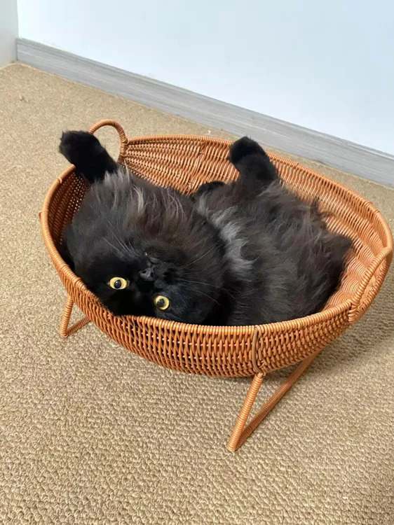 家用仿藤手工编织大号猫窝狗窝猫床自制四季通用夏季散热凉快睡窝