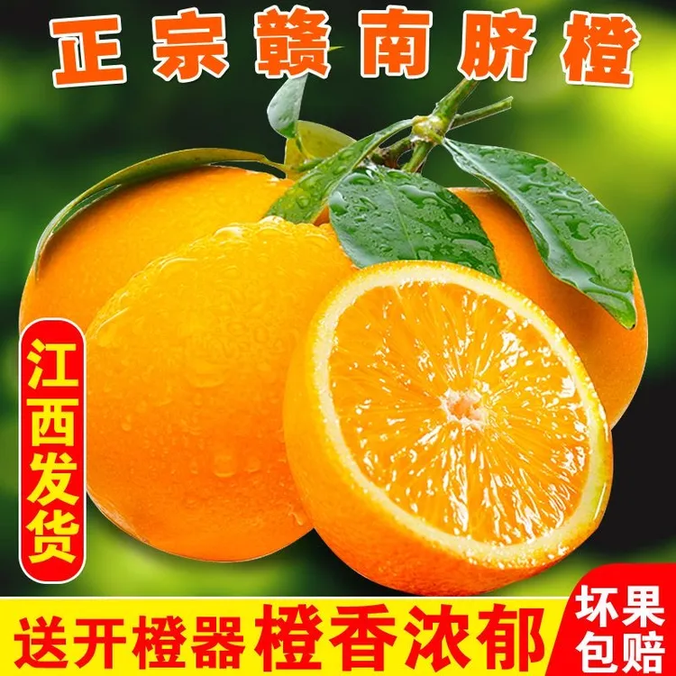 正宗赣南脐橙新鲜水果孕妇可吃果园直发带枝叶皮薄多汁应季甜橙