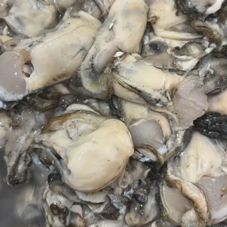 大连杏树屯本地 现扩海蛎子肉 现括现发 （一袋一斤）生蚝