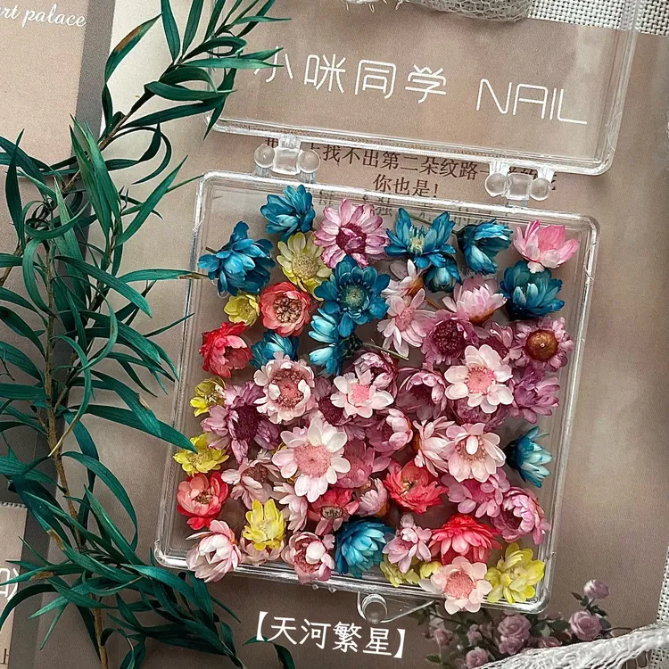 小咪同学&Kusa立体干花永生花百花集系列