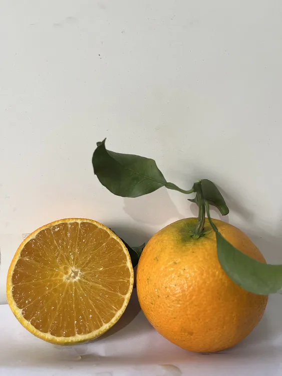 【顺丰快递】正宗眉山爱媛38号果冻橙现摘现发