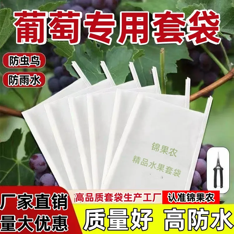 阳光玫瑰专用套袋防虫防鸟袋莲雾透明日光袋防水葡萄套袋专用袋