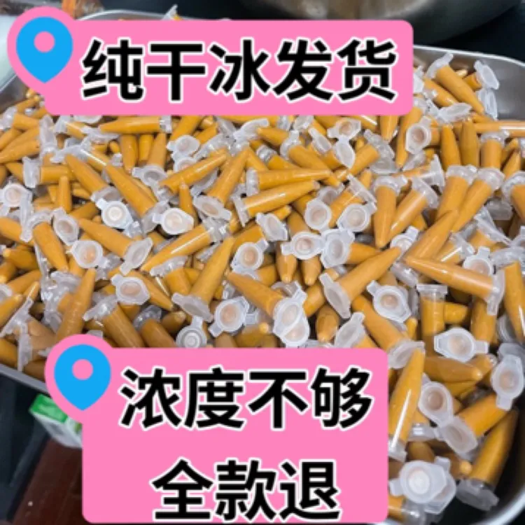 超浓无水丰年虾幼虫观赏鱼开口饲料新鲜孵化优质鱼食
