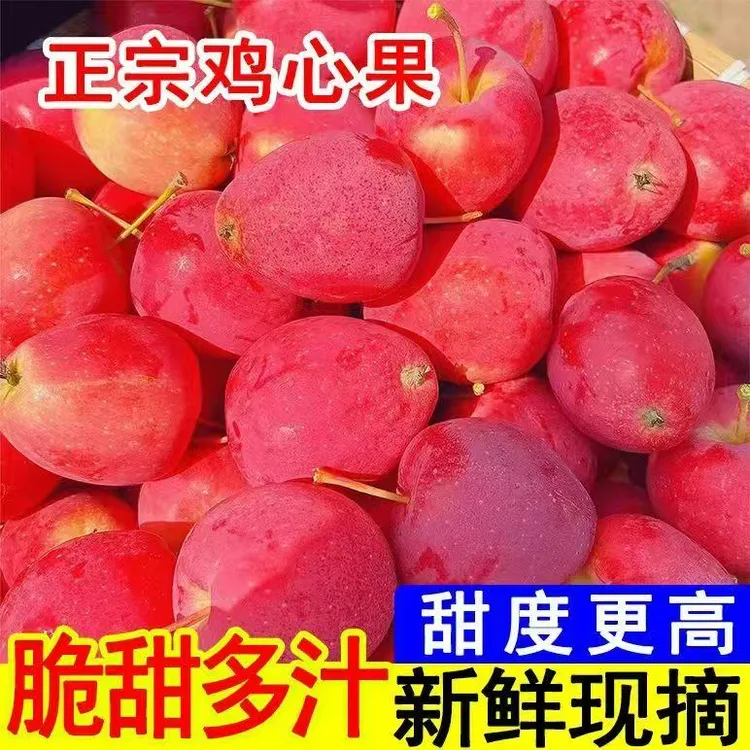 【脆甜多汁】正宗东北糖心鸡心果海棠果新鲜小苹果网红鸡心果