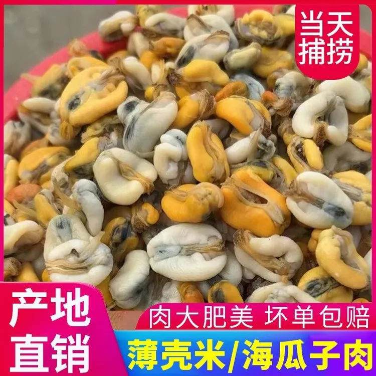 潮汕正宗新鲜现打现发薄壳米肉去壳海瓜子肉海鲜水产顺丰冷链包邮