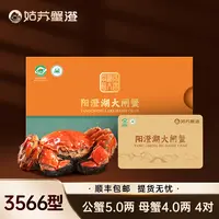 【卡券】姑苏蟹澄-阳澄湖大闸蟹3566型 公5.0两母4.0两4对 活水塘养