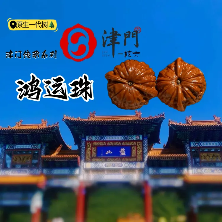 文玩核桃原生一代树鸿运珠，货头对，全品六面相似度%78误差0.5mm