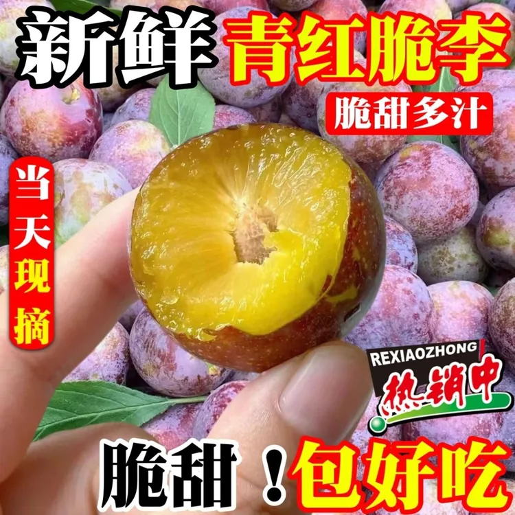 【四川脱骨李】高山当季水果脆李孕妇小脆红李青脆红李