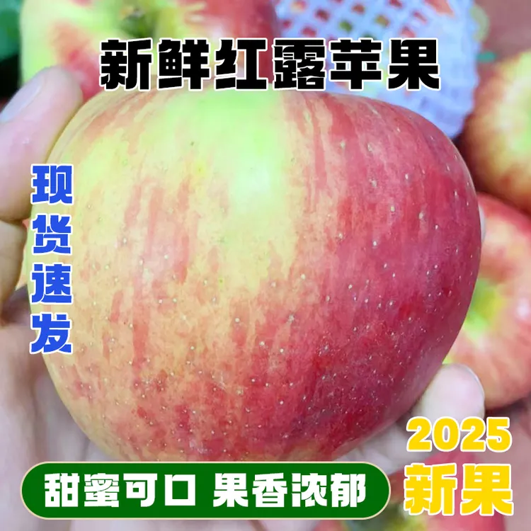 云南昭通冰糖心丑苹果高山现摘脆甜多汁营养丰富红露苹果产地直发
