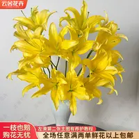【云舍花卉】【金玉满堂】单瓣百合 全场鲜花任意两单及以上包邮发货