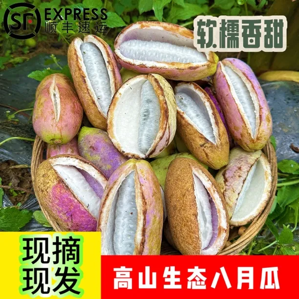 高山八月瓜新鲜水果现摘速发软糯香甜奶香味整箱顺丰包邮