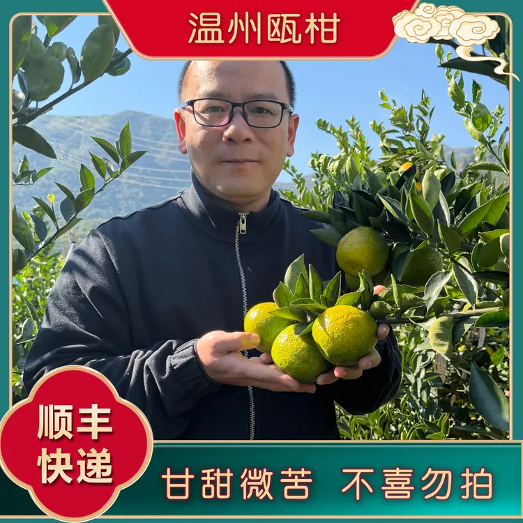 温州特产温州瓯柑苦橘苦柑新鲜采摘好吃多汁瓯柑5斤【顺丰快递】