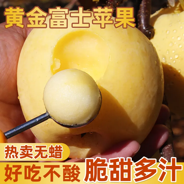 【脆甜多汁黄金奶油富士】山东烟台新鲜水果糖心丑3-9斤脆甜白苹果