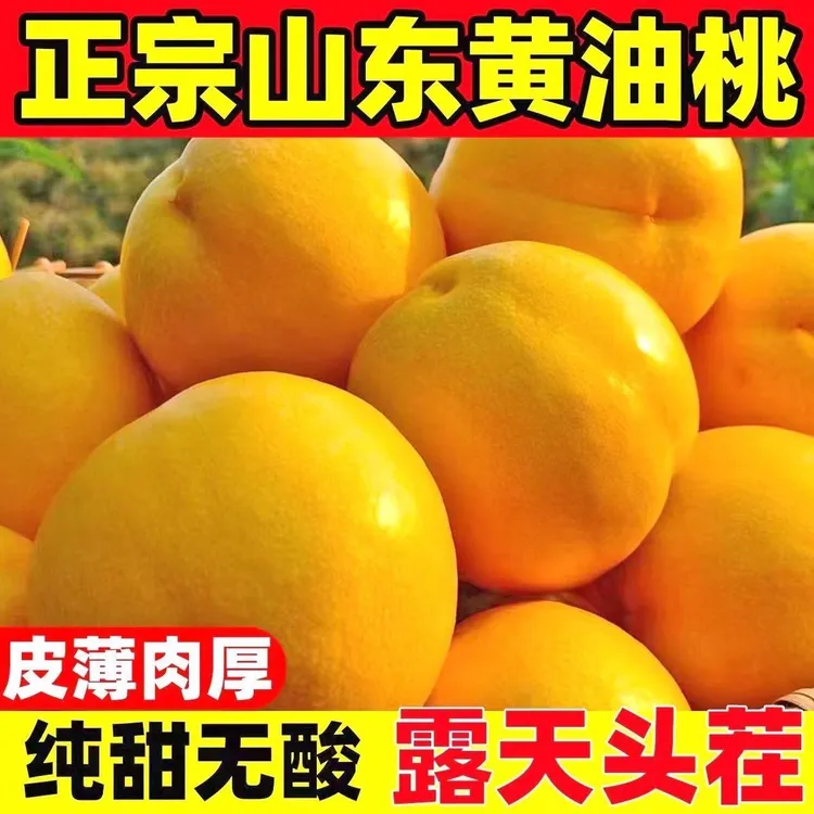 正宗山东蒙阴黄金蜜油桃无毛黄皮黄肉新鲜水果纯甜应季黄桃大水果