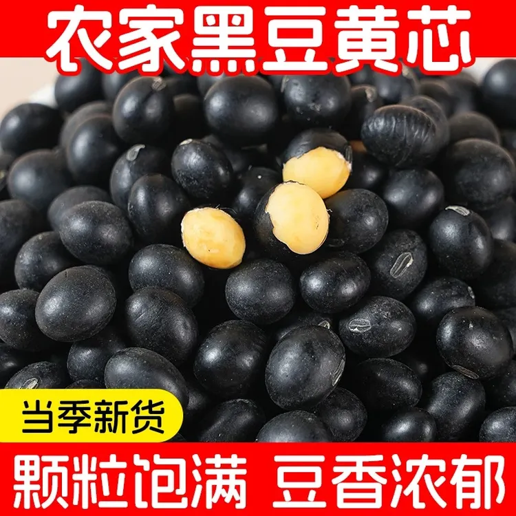 生黑豆新黑豆小黑豆黄心农家自产五谷杂粮非转基因打豆浆煮水泡醋