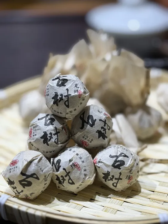 景迈古树普洱茶生茶龙珠24年头春头采