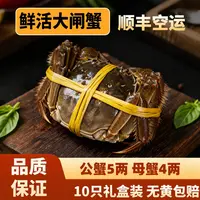 4两-5两公母鲜活大闸蟹8-10只现货活螃蟹精挑蟹中秋送礼