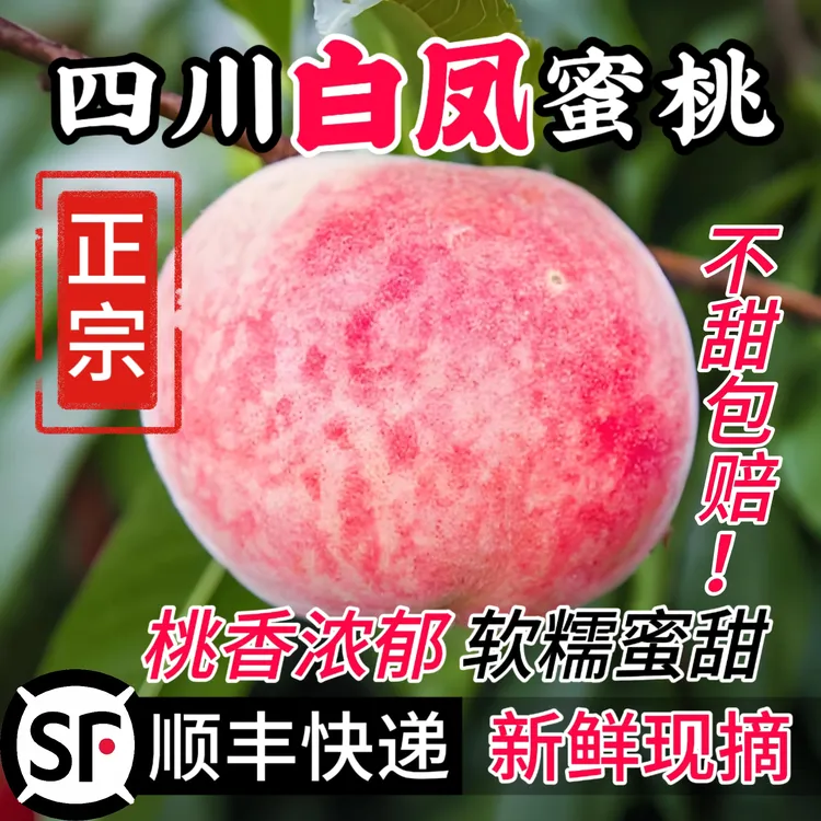 【正宗四川白凤蜜桃】四川高山白凤水蜜桃脆桃脆甜多汁软糯香甜应季