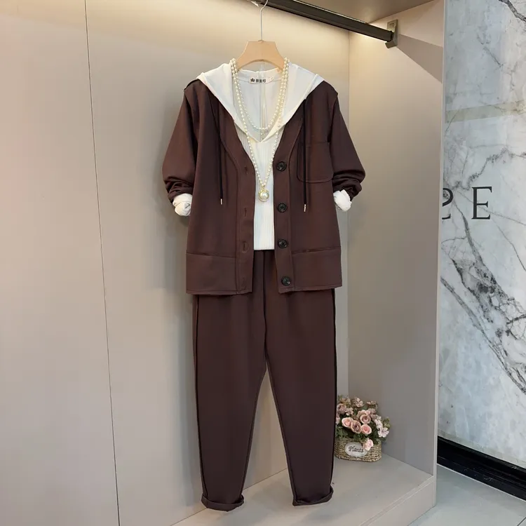 时尚休闲2025春秋洋气简约大方百搭款舒适连帽显瘦三件套套装8532