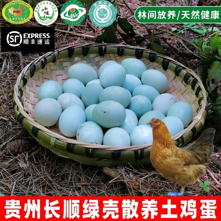 长顺绿壳粉壳无抗富硒鸡蛋跑山散养鸡土鸡蛋草鸡蛋妈妈蛋宝宝蛋