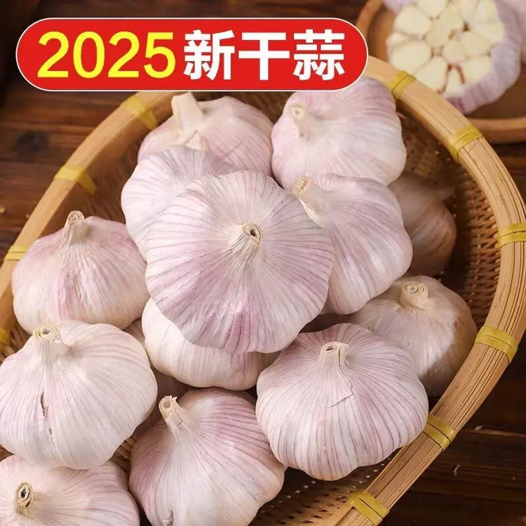 正宗金乡紫白皮干大蒜可种植农家新干蒜
