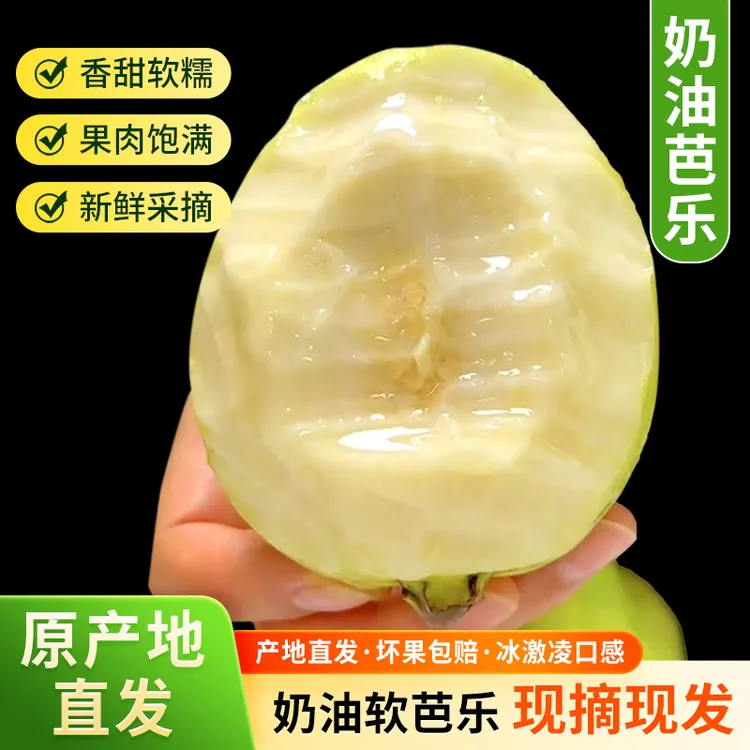 正宗广西白心奶油番石榴软糯香甜产地直发应季新鲜水果芭乐水果