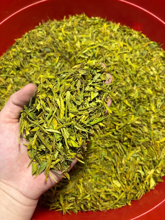  2025年新茶黄金芽碎片