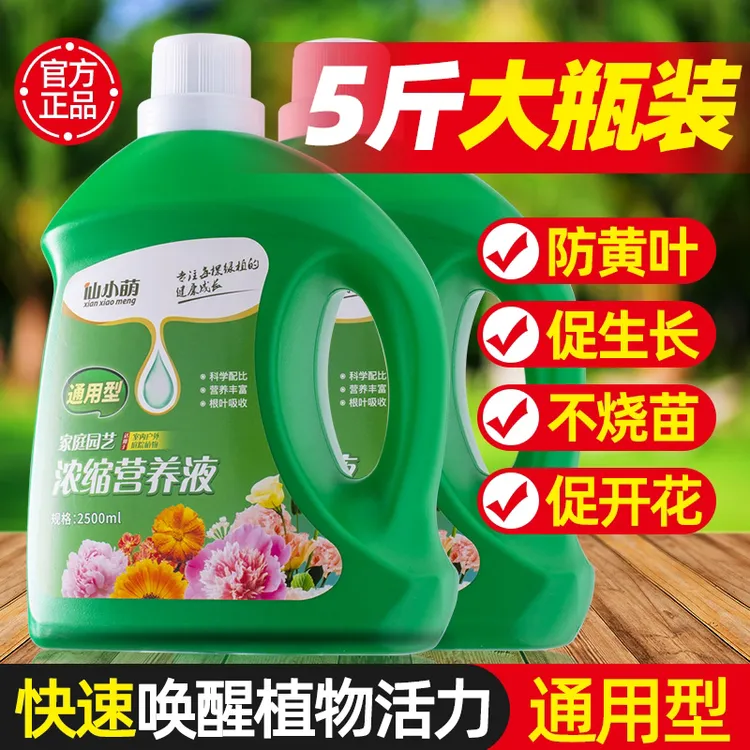 营养液植物通用型花肥发财树富贵竹绿萝水培盆栽家用花卉养花肥料