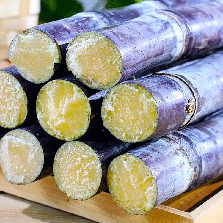 广西上思县黑皮甘蔗2025新鲜水果应季现砍脆甜多汁批发特产