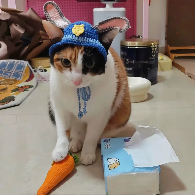 萝卜纸巾猫咪疯狂动物城同款朱迪帽子露耳朵猫咪手工钩织帽子成品