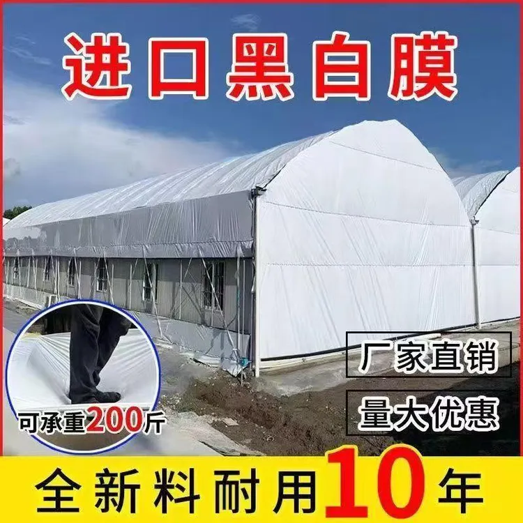 黑白膜养殖用防晒降温抗老化隔热塑料布薄膜塑料薄膜厂家直销批发
