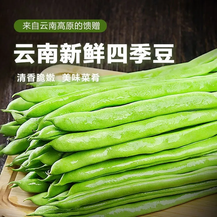 【新鲜四季豆】云南优质露天四季豆农家自种新鲜现摘产地直发
