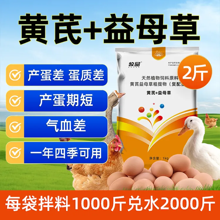 兽用黄芪多糖粉母畜母猪保健补气血蛋禽鸡鸭鹅提高免疫饲料添加剂
