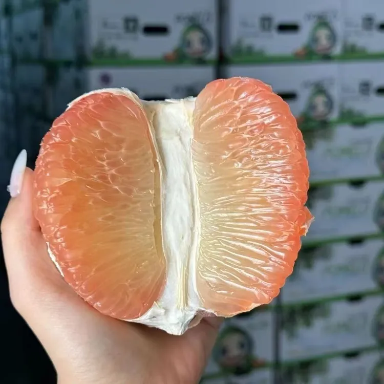 正宗广西容县红宝石青柚老树红肉超甜柚子应季新鲜当季孕妇水果