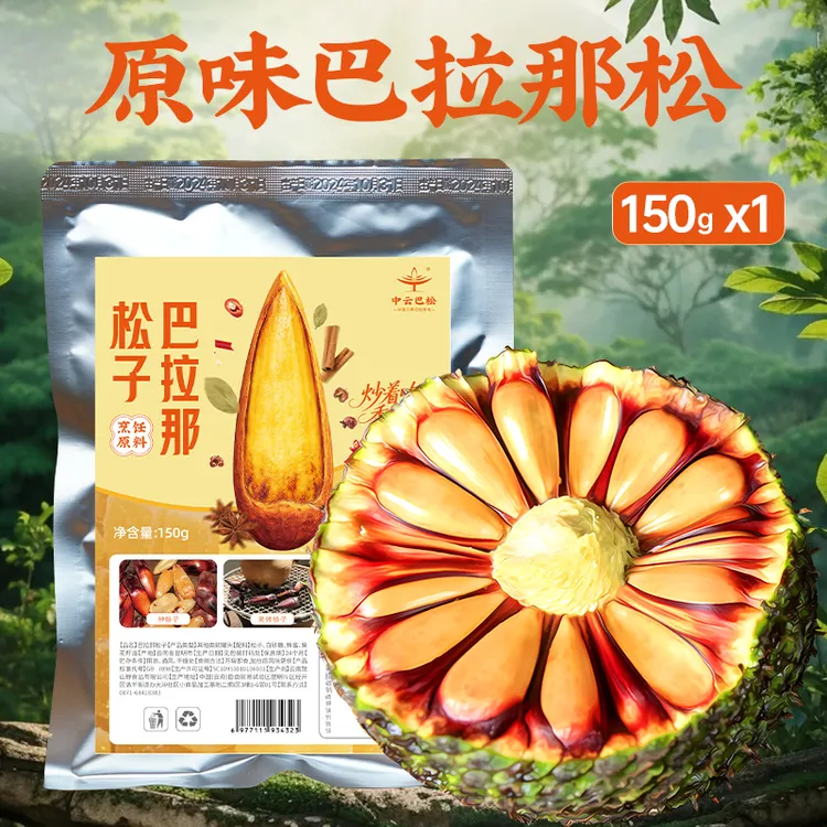 【全新】巴拉那松松子 拇指大松子 松子有拇指大  送人送礼 