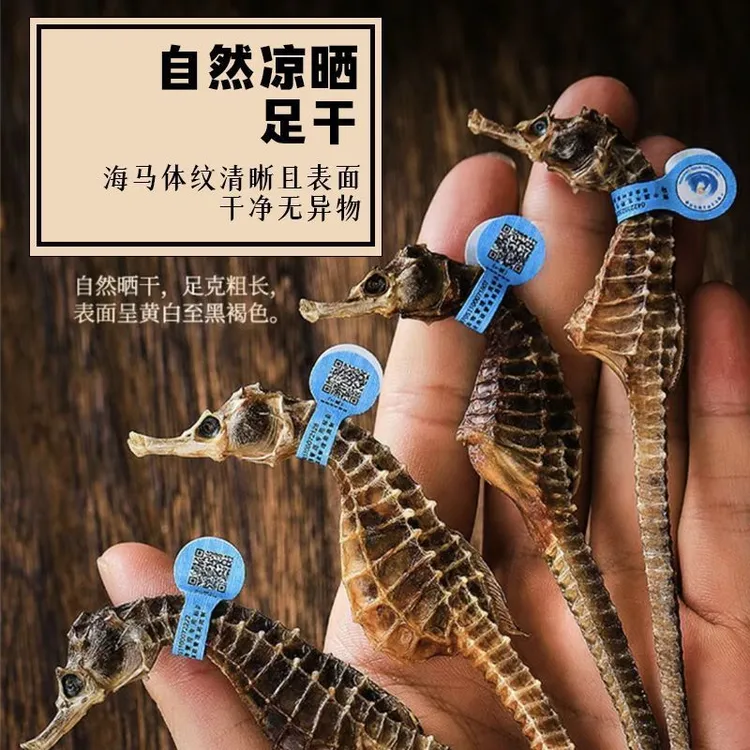 【闽海瑰宝 匠心滋养】精选公母马鱼干泡酒煲汤美味佳品/非中药材