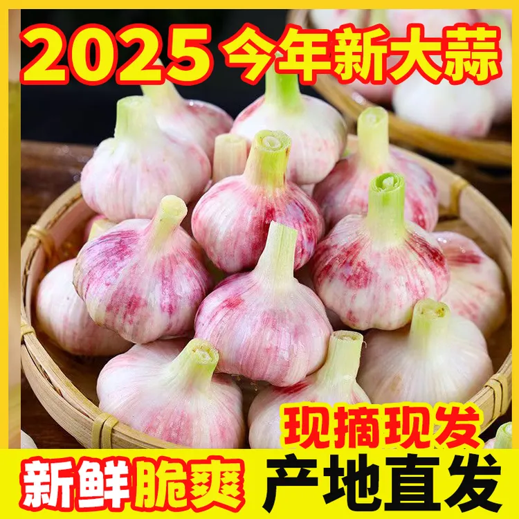 5斤现挖新鲜湿蒜正宗紫白皮多瓣蒜农家自种土蒜可腌糖醋