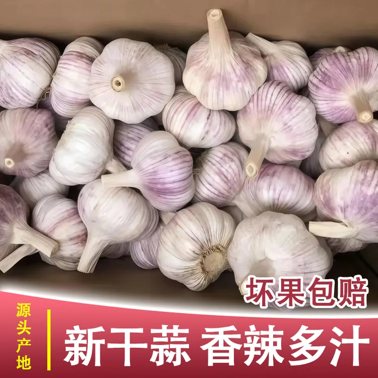 （2025年新蒜）新晒大蒜头农家自种紫白皮干蒜河南特产1斤3斤5斤9斤