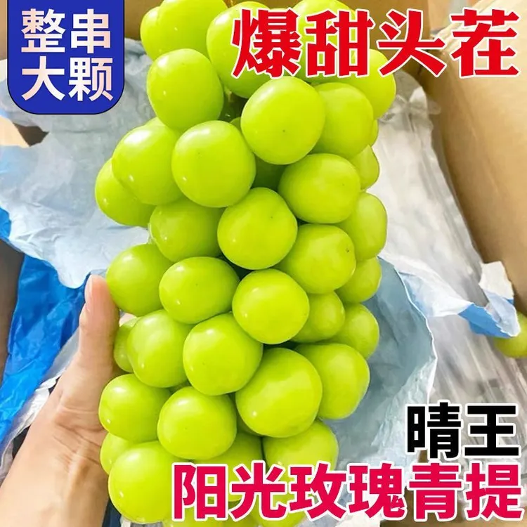 阳光玫瑰香印晴王葡萄商超品质礼盒馈赠特级香脆甜顺丰包邮高好评