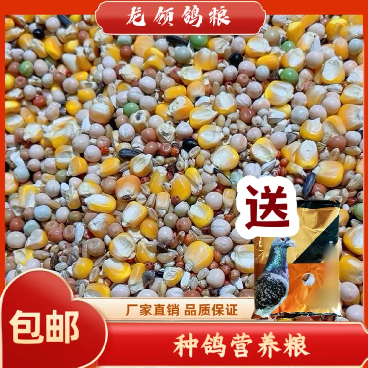 龙领鸽粮  《送保健砂》种鸽营养粮  10/20/48斤/袋肉鸽信鸽包邮
