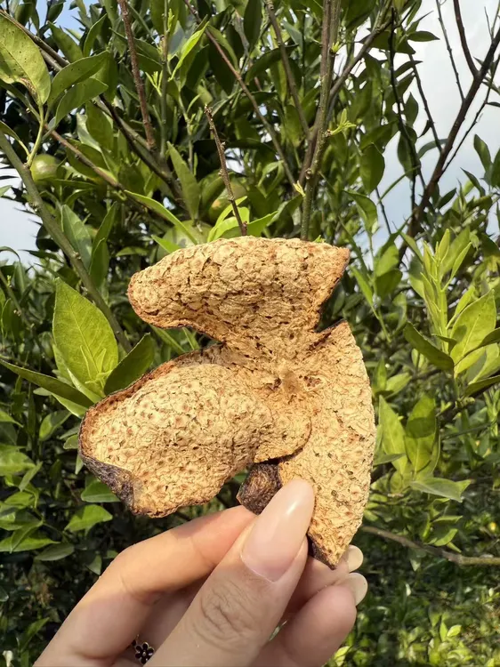 广东新会陈皮三年老陈皮泡茶泡水干仓生晒 核心产区 250g袋装