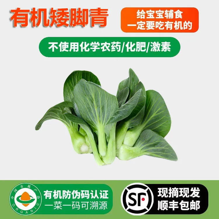 有机矮脚青现摘现发安徽露天霜打新鲜有机蔬菜顺丰苏州青菜小青菜